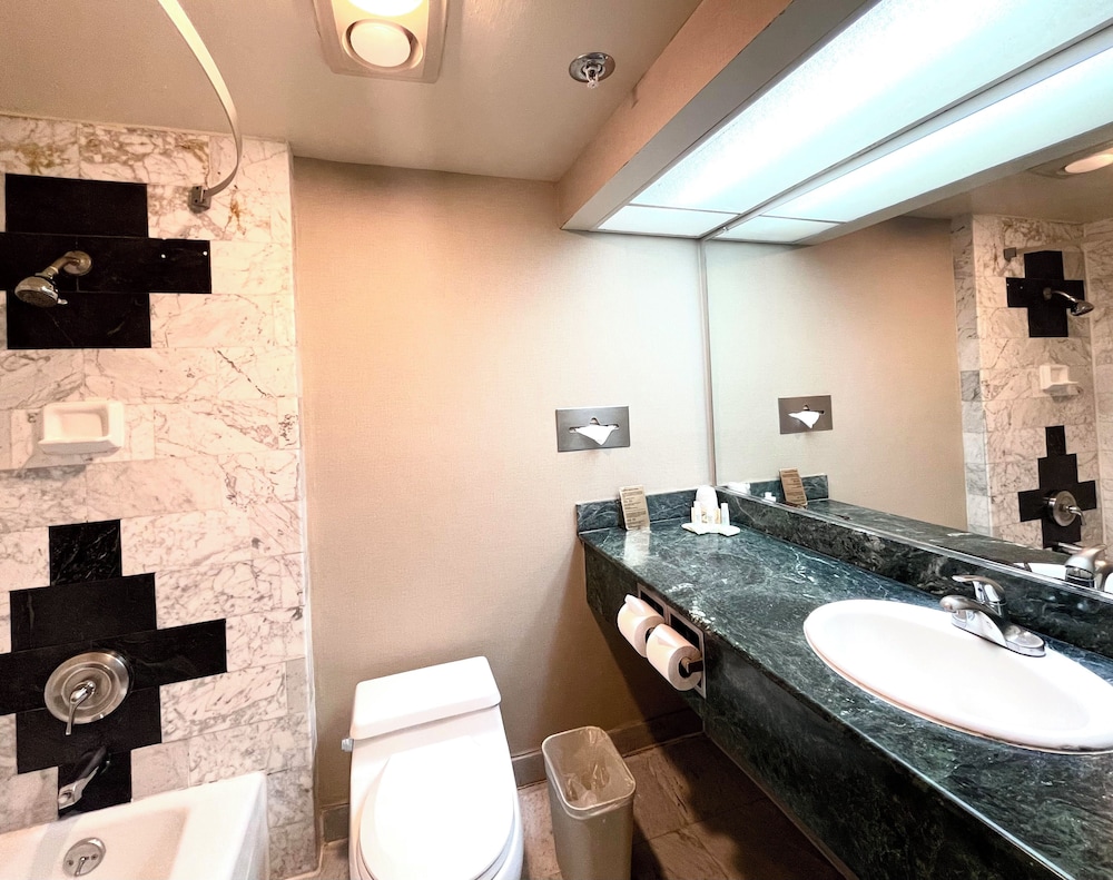 Standard Double Suite - Photo 4