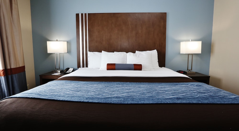 Standard Room, 1 King Bed, Non Smoking, Refrigerator & Microwave