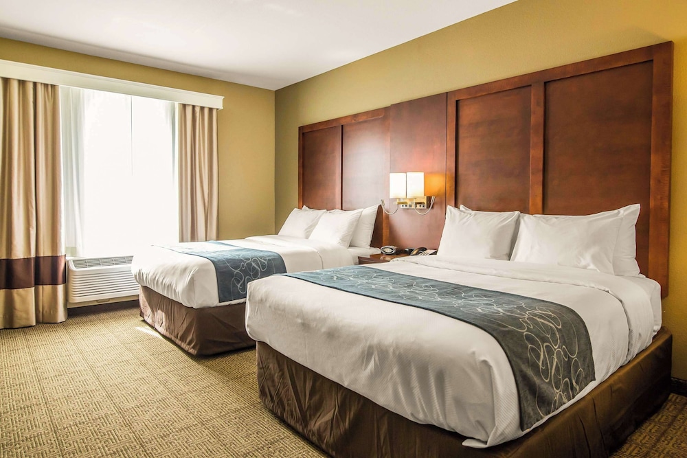 Suite, Multiple Beds, Accessible, Non Smoking photo 1