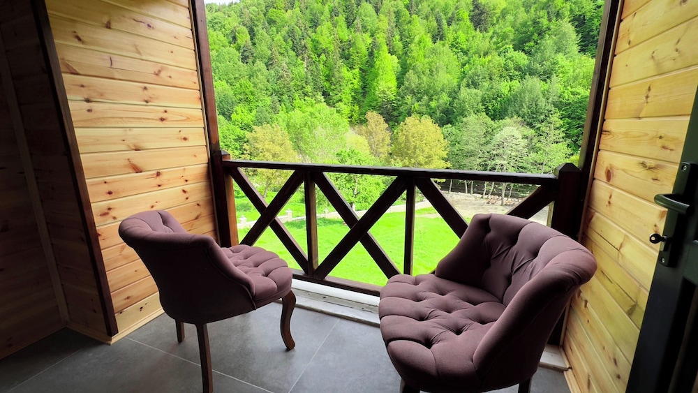 Deluxe Room, 1 Double Bed, Fireplace, Mountain View photo 3