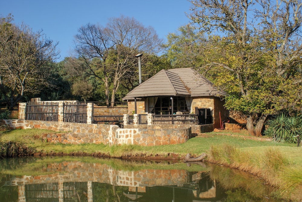 Golden Cabin (3) photo 2