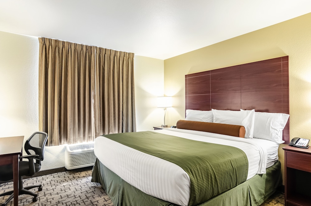Studio Suite, 1 King Bed with Sofa bed, Non Smoking