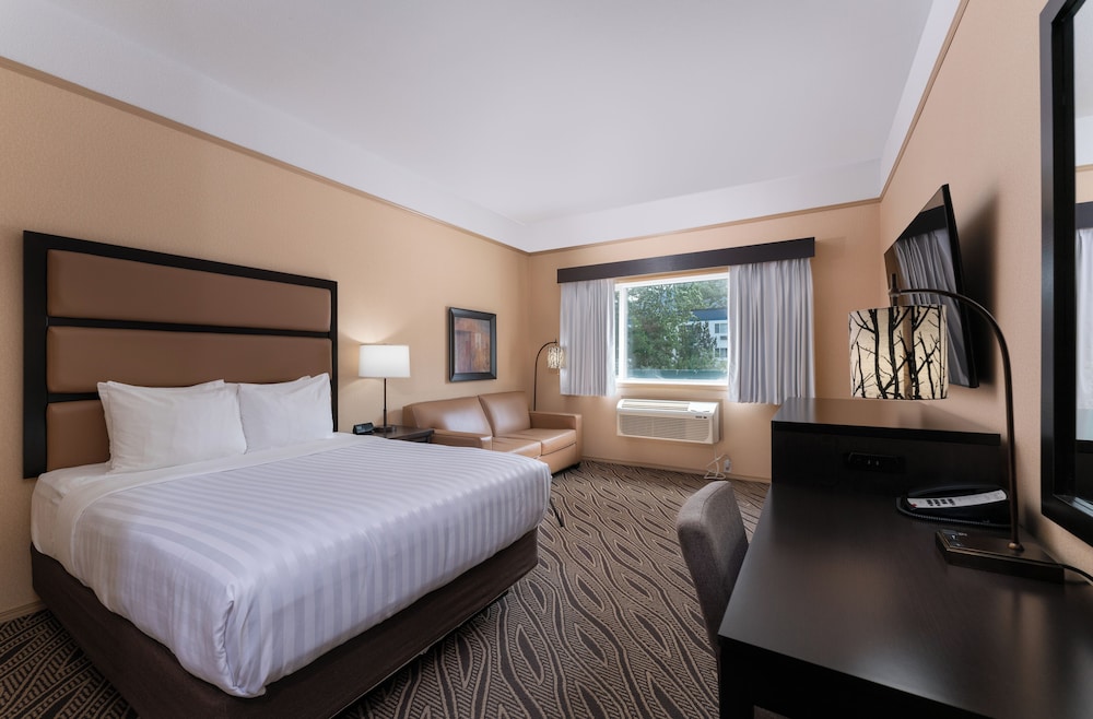 Room, 1 Queen Bed, Mobility Accessible