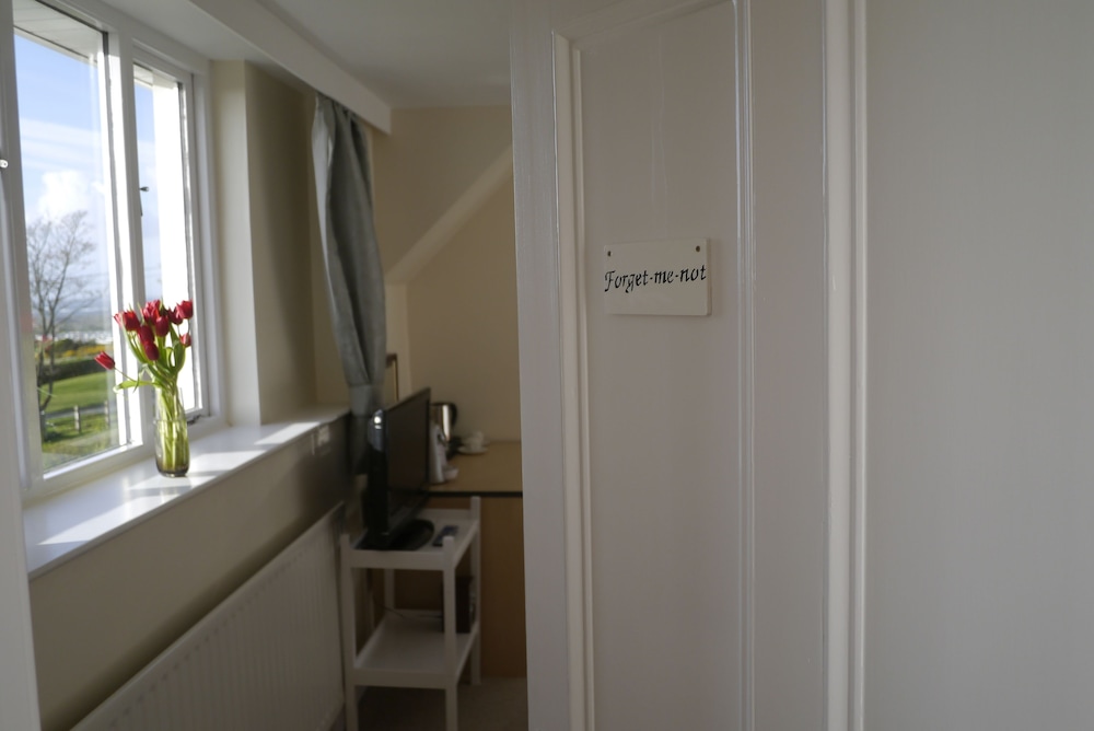 Superior Double Room, 1 King Bed, Sea View (Forget-Me-Not) photo 3