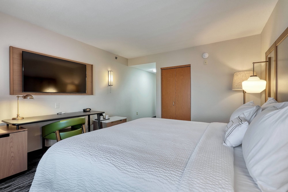 Executive Studio, 1 King Bed with Sofa bed - Photo 8