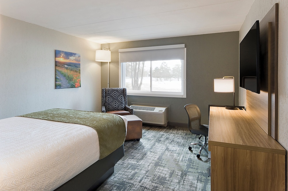 Standard Room, 1 King Bed - Photo 1