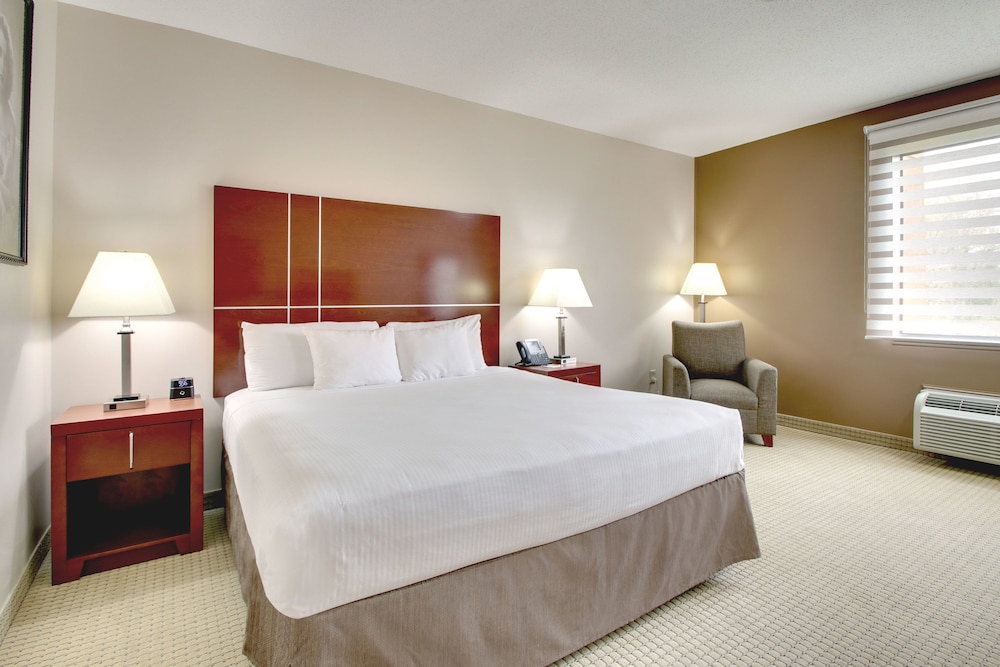 Standard Room, 1 King Bed photo 2