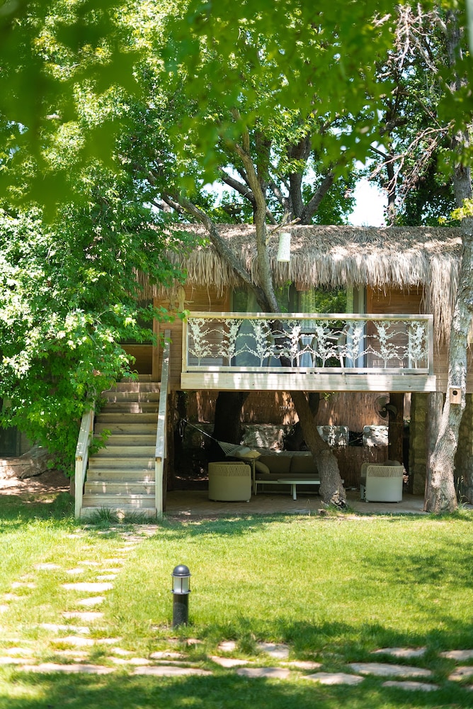 Tree House
