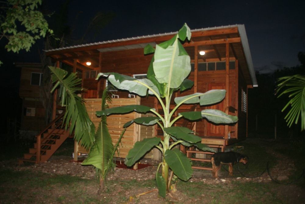Basic Double Room, Garden View, Poolside photo 2