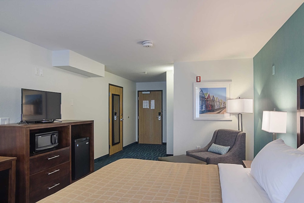 Standard Room, 1 King Bed, Non Smoking photo 1