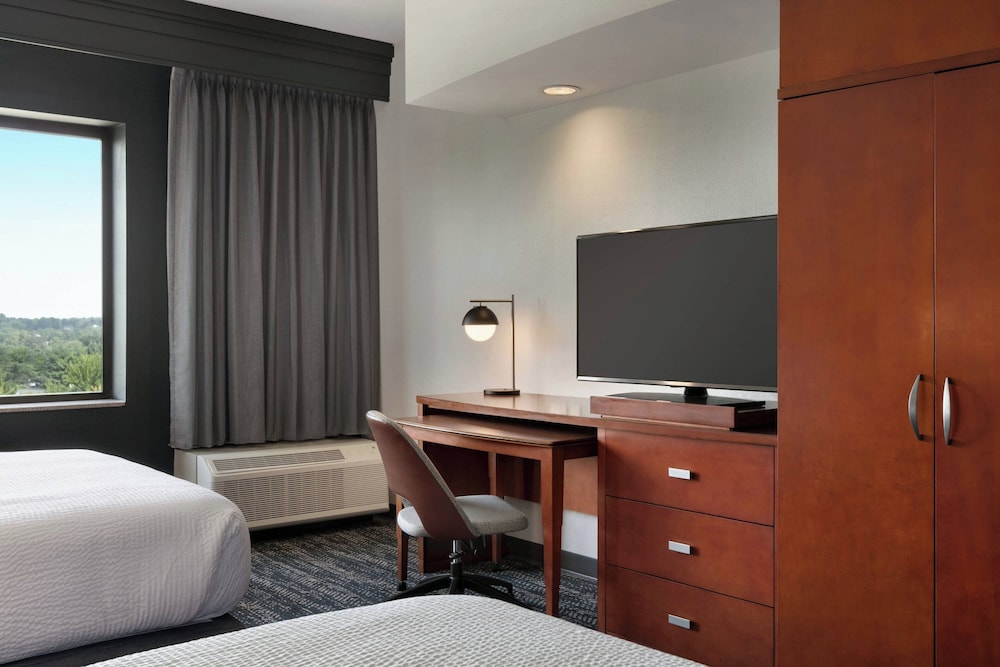 Room, 1 King Bed with Sofa bed (Mobility/Hearing Access, Roll-In Shwr) - Photo 4