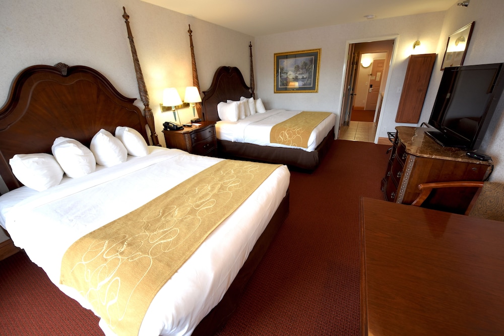 Traditional Room, 2 Queen Beds photo 1