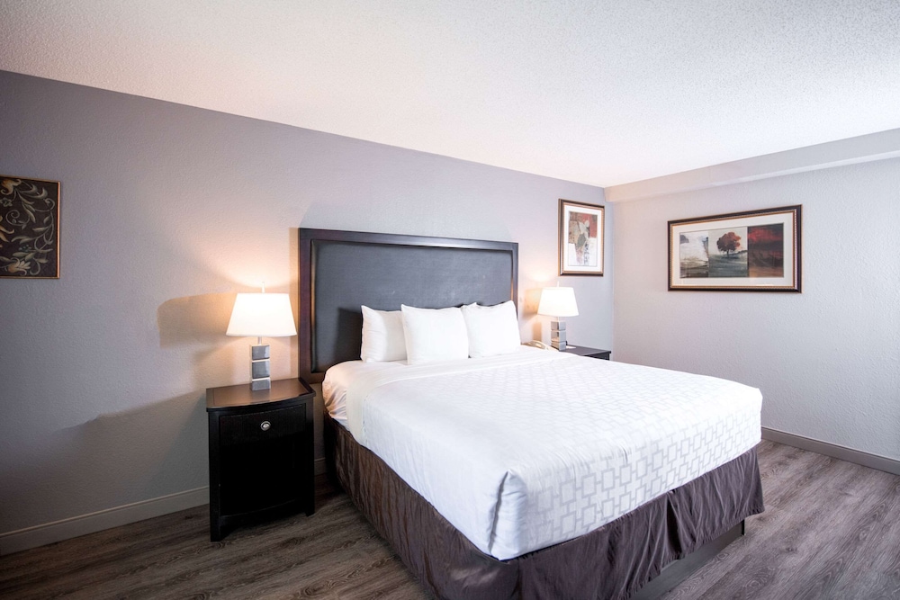 Standard Room, 1 King Bed with Sofa bed, Non Smoking photo 2