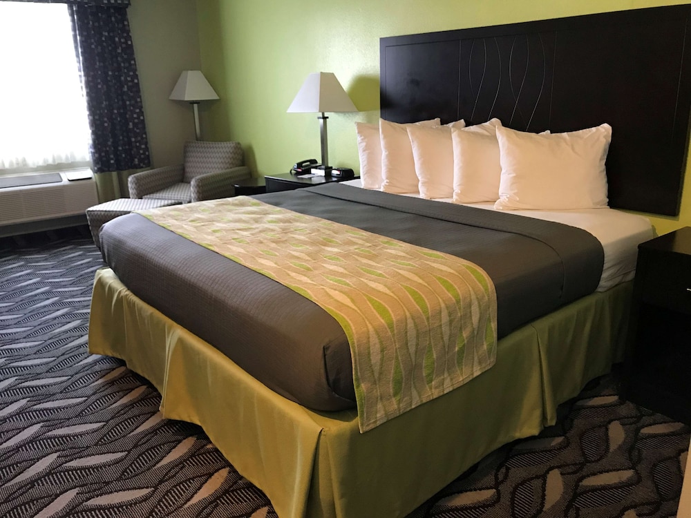 Business Room, 1 King Bed, Non Smoking, Refrigerator & Microwave photo 3