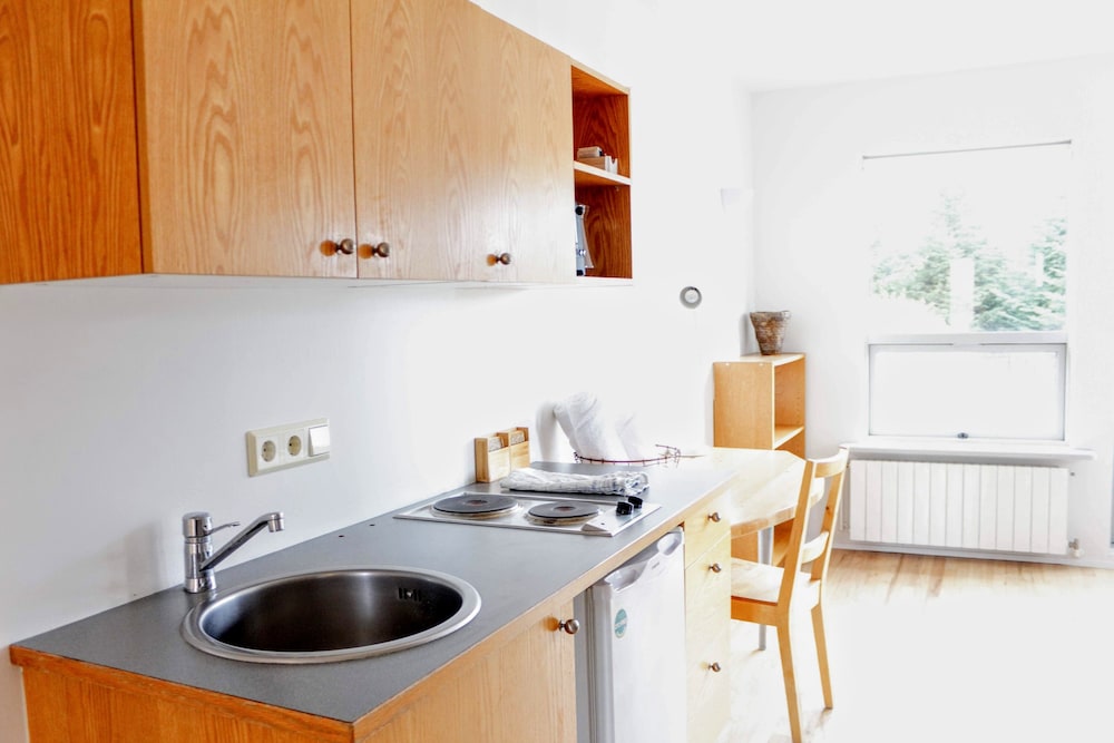 Economy Apartment, 1 Bedroom, Non Smoking, Private Bathroom photo 3