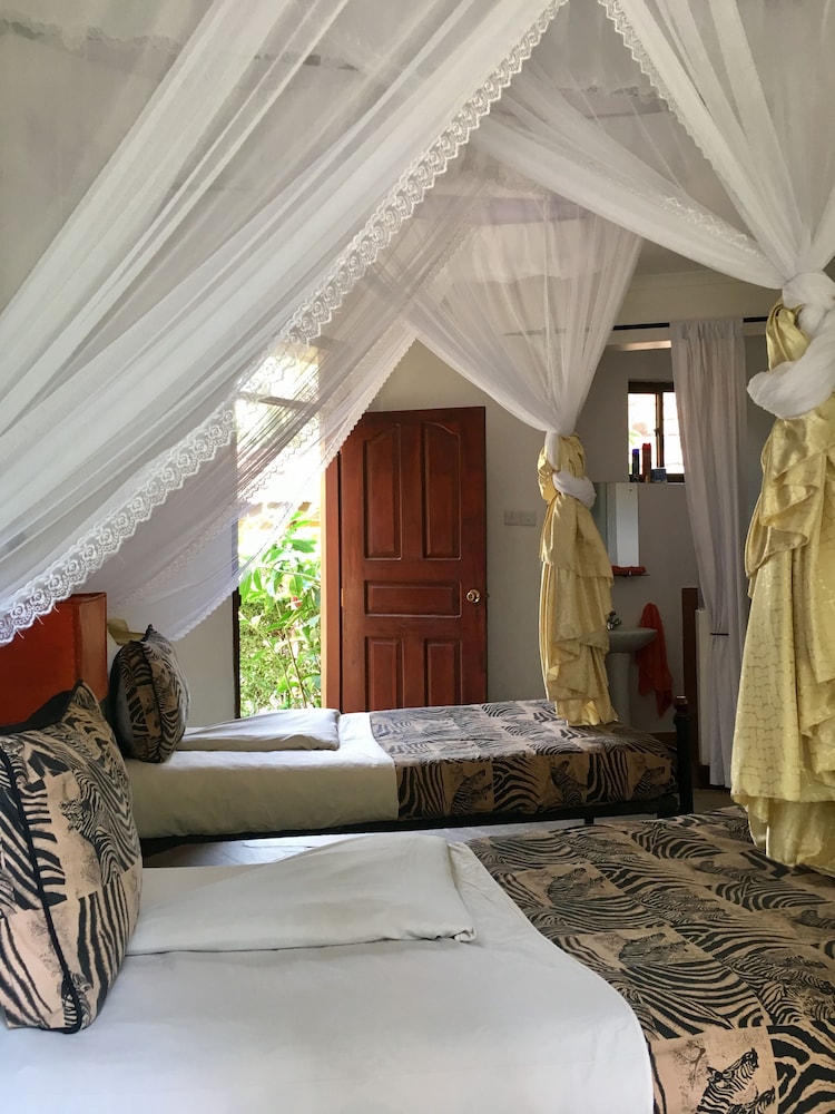 Luxury Twin Room, Private Bathroom, Pool View