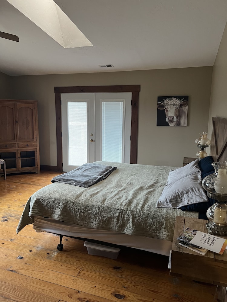 1 King Suite with Sofa Bed photo 1