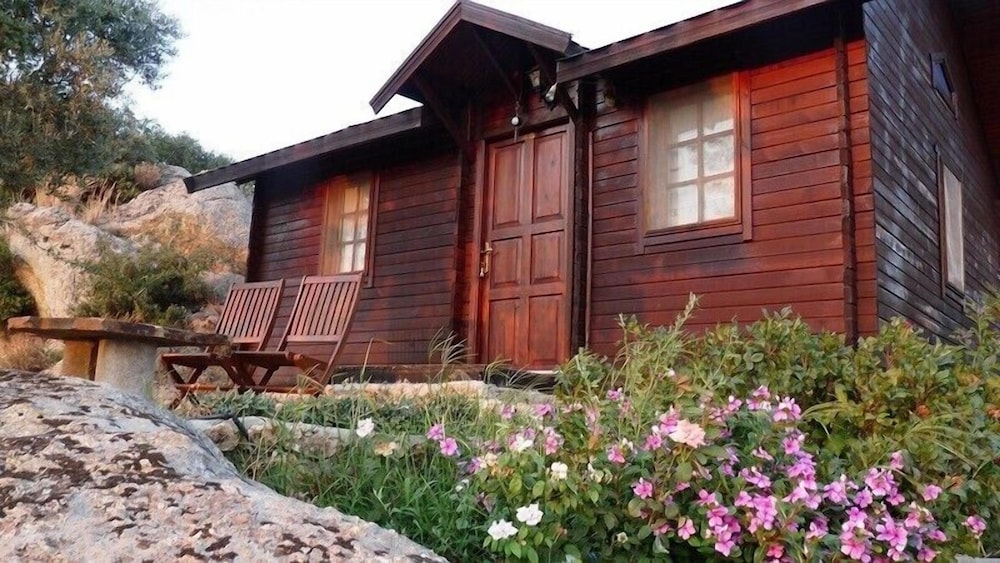 Romantic Tree House photo 1