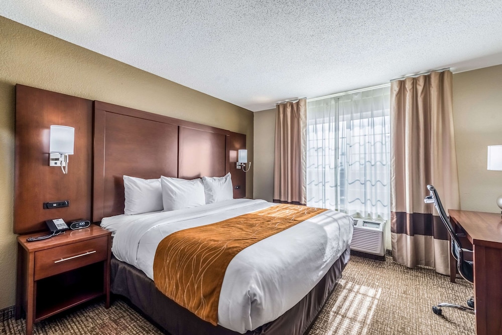 Standard Room, 1 King Bed, Non Smoking - Photo 1