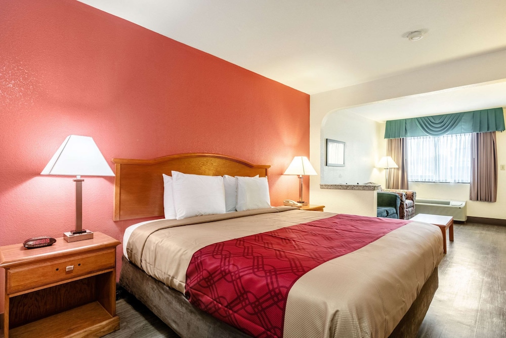 Suite, 1 King Bed, Accessible, Non Smoking photo 1