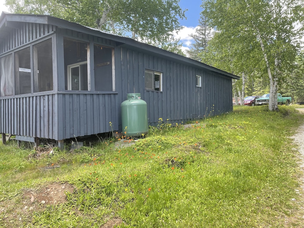 Standard Cabin, 1 Bedroom, Lake View photo 2