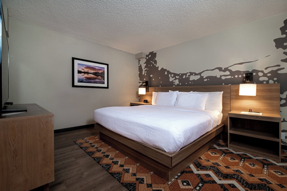 Suite, 1 Bedroom, Accessible Bathtub (Communications, Mobility) - Photo 1