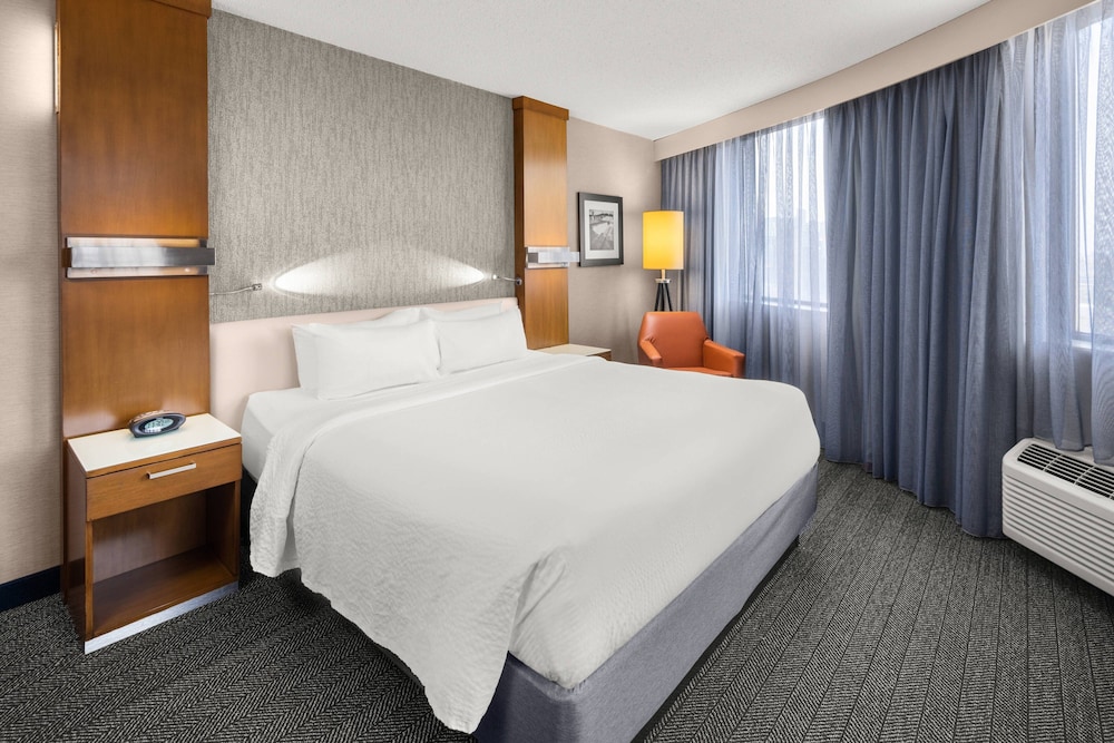 Room, 1 King Bed (Mobility/Hearing Access, Roll-In Shwr) - Photo 2