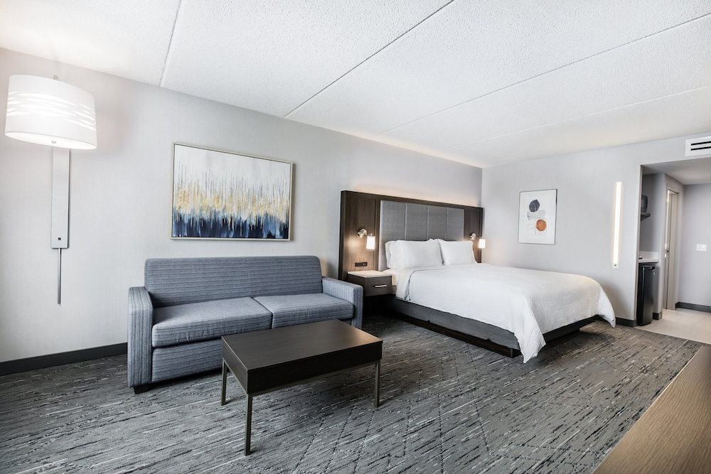 Suite, 1 King Bed with Sofa bed