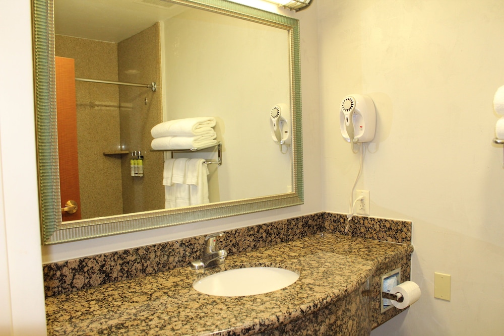 Suite, 1 Bedroom - Photo 2
