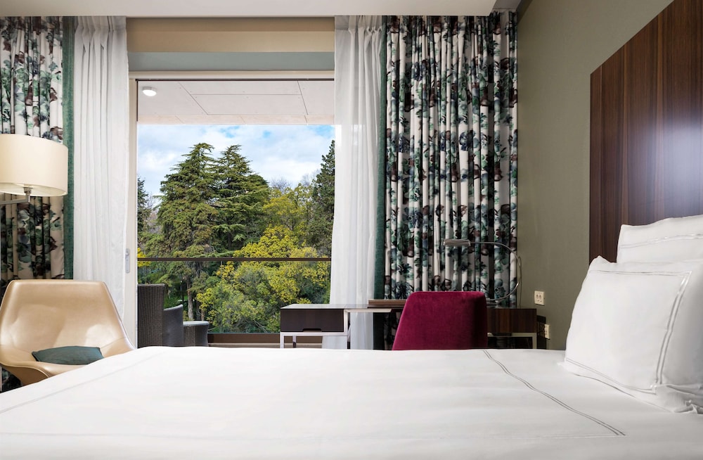 Room, 1 King Bed (Swiss Advantage, Land View) photo 3