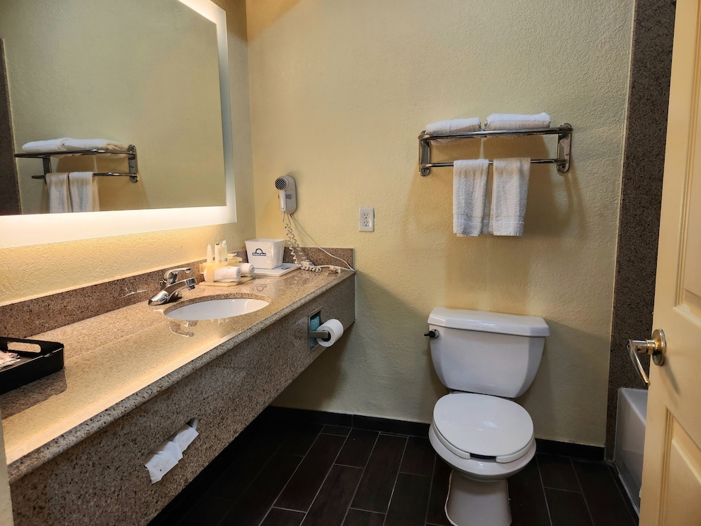 Deluxe Studio Suite, 1 King Bed, Non Smoking - Photo 10