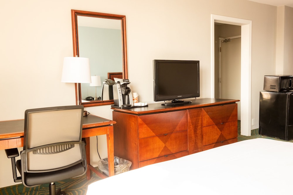 Standard Double Room, 2 Double Beds photo 2