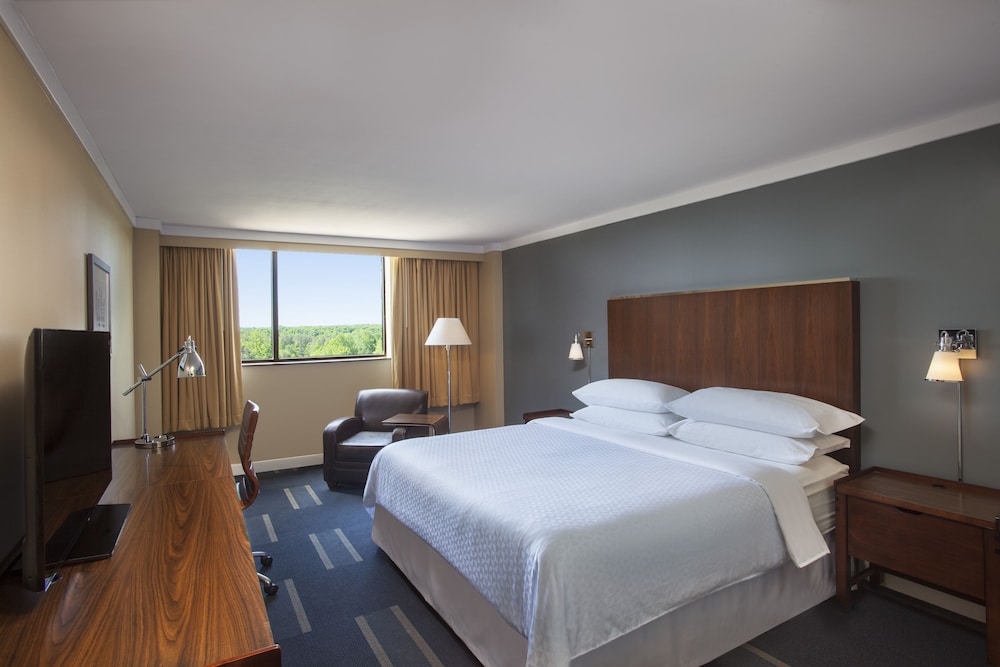 Deluxe Room, 1 King Bed with Sofa bed - Photo 2