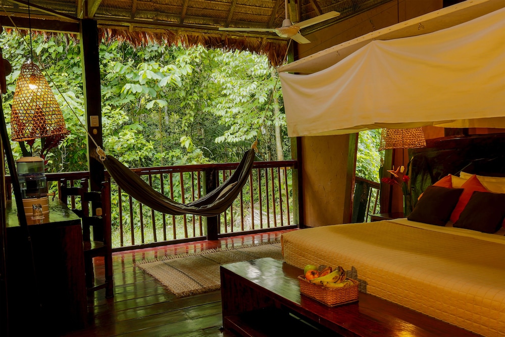 Amazon Suite photo 2