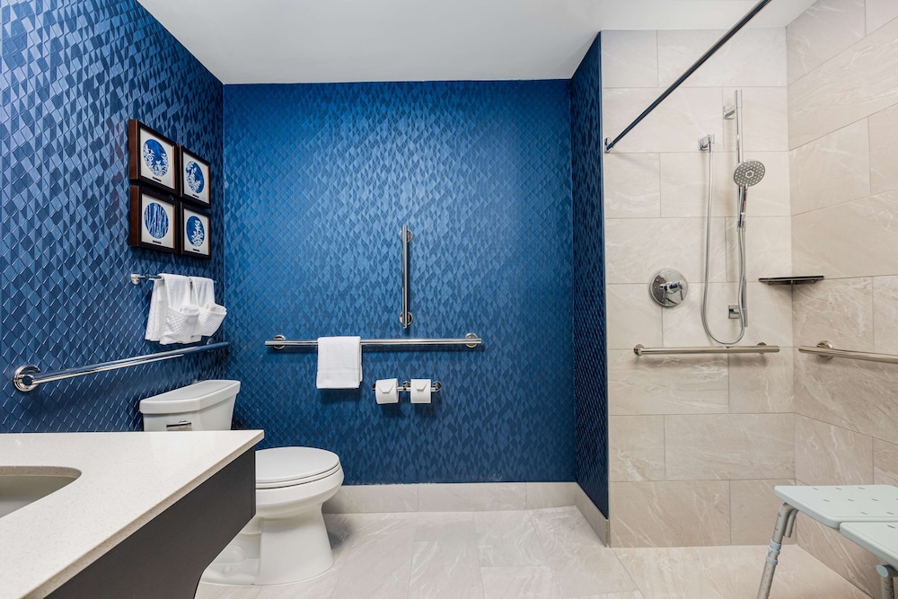 Room, 1 King Bed, Accessible (Roll-In Shower) - Photo 1