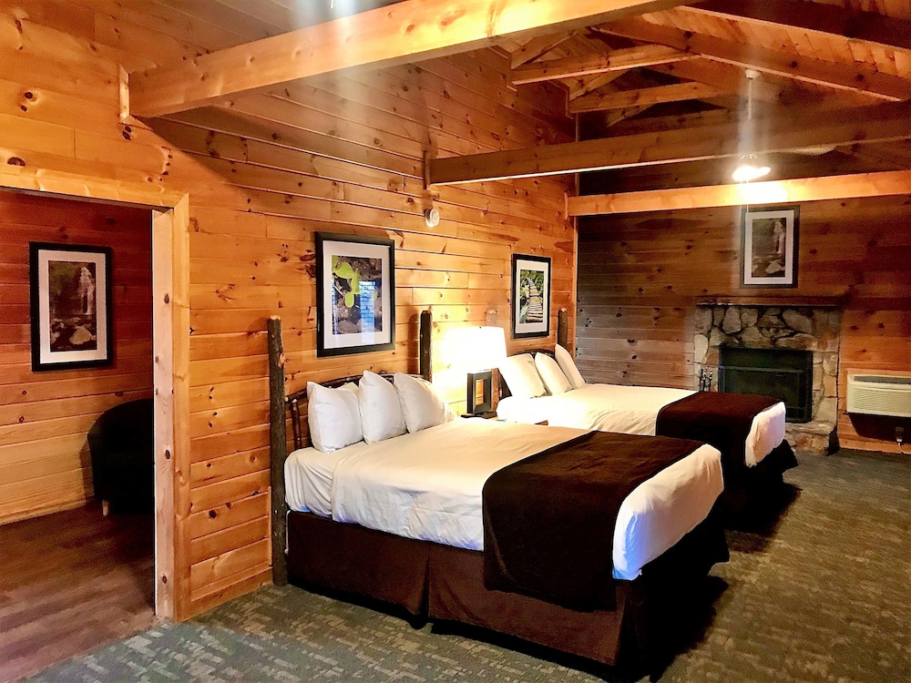 Double Room, Multiple Beds, Fireplace, Mountain View photo 1