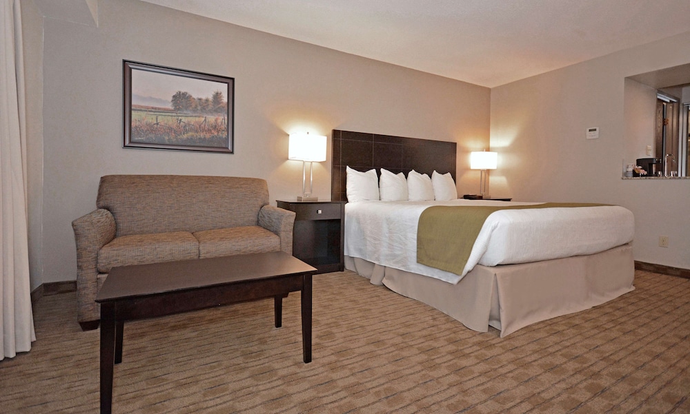 Standard Room, 1 King Bed, Non Smoking (With Sofabed) - Photo 1