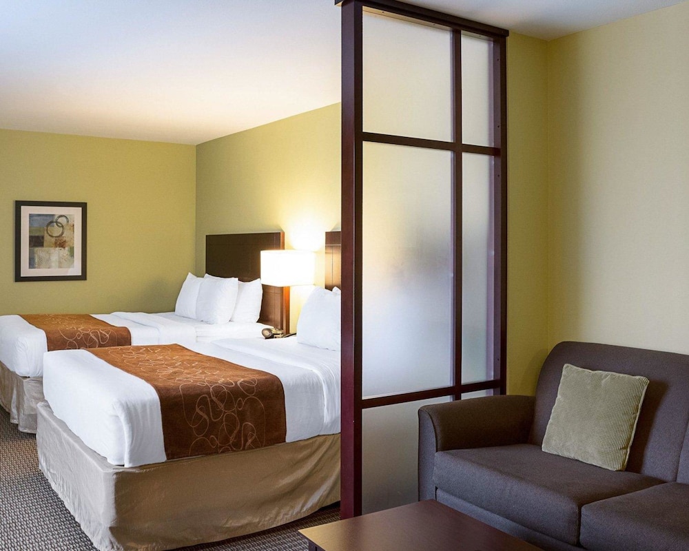Studio Suite, Multiple Beds, Accessible, Non Smoking photo 2
