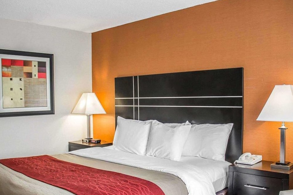 1 King Bed Non-Smoking - Photo 3