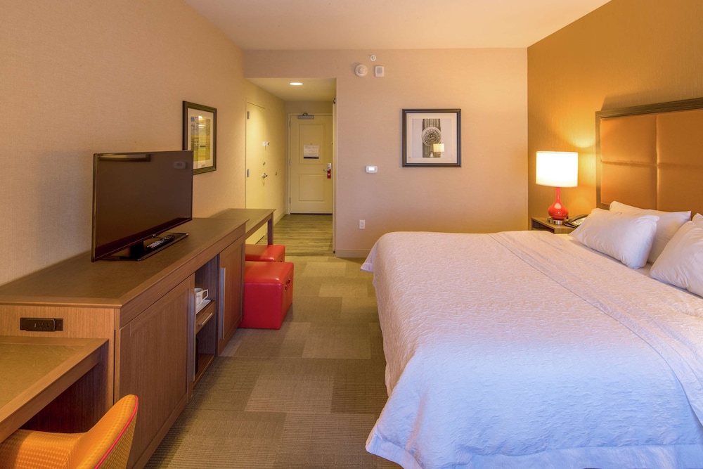 Room, 1 King Bed, Accessible, Non Smoking (Roll In Shower) photo 3