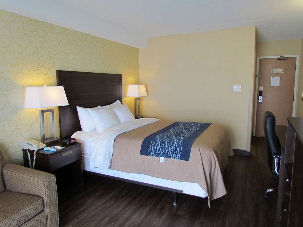Standard Room, Non Smoking, Ground Floor (with 2 person sofabed) photo 2