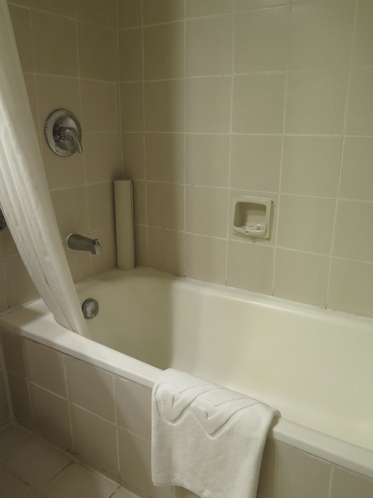 Deluxe Premium Room - Photo 6