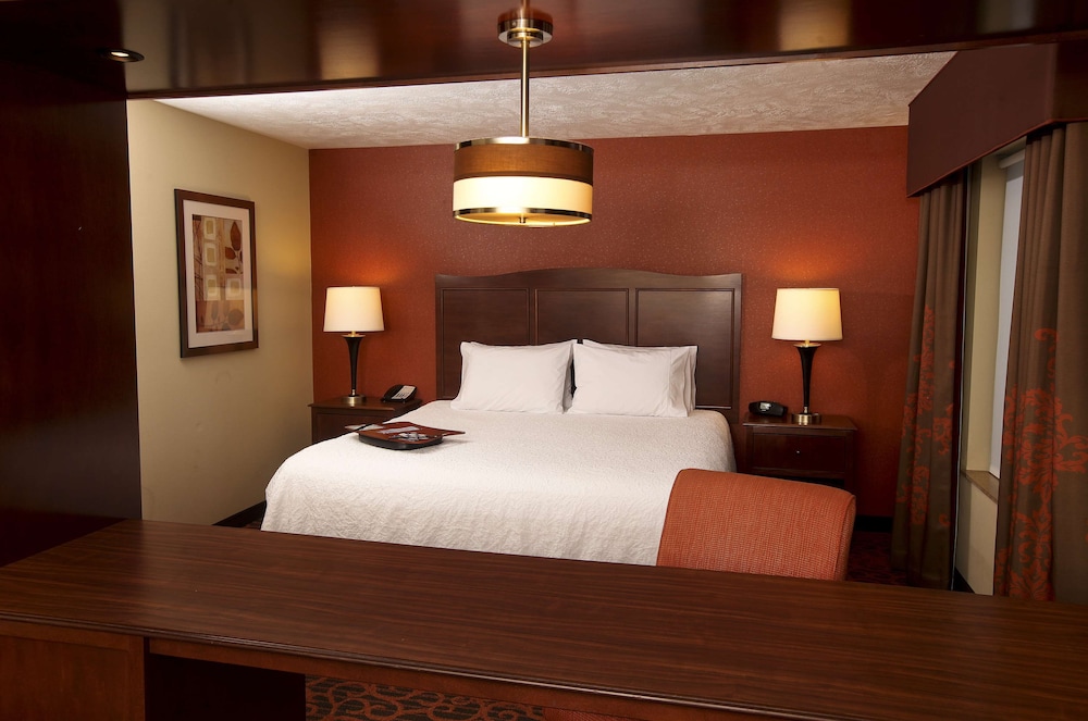 Studio Suite, 1 King Bed with Sofa bed, Accessible, Non Smoking (Bathtub) - Photo 1