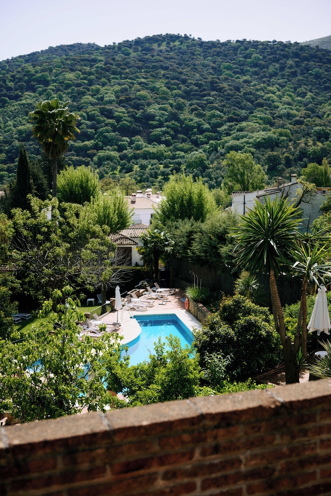 Panoramic Double Room, 1 Queen Bed, Mountain View photo 3