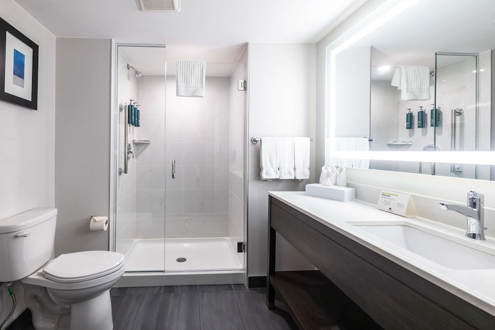 Deluxe Suite, 1 King Bed