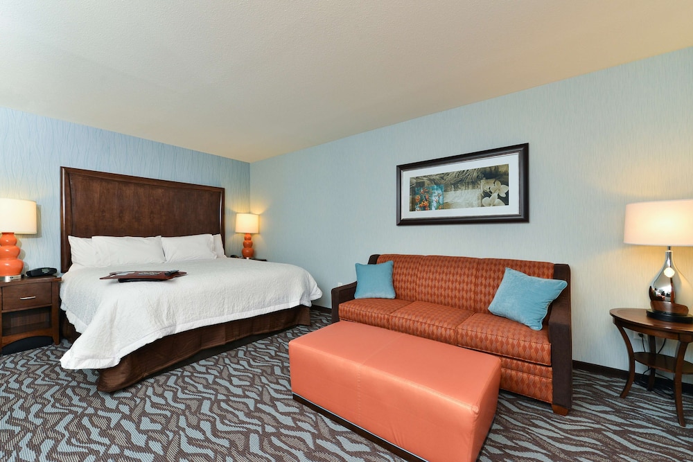 Room, 1 King Bed, Accessible photo 3