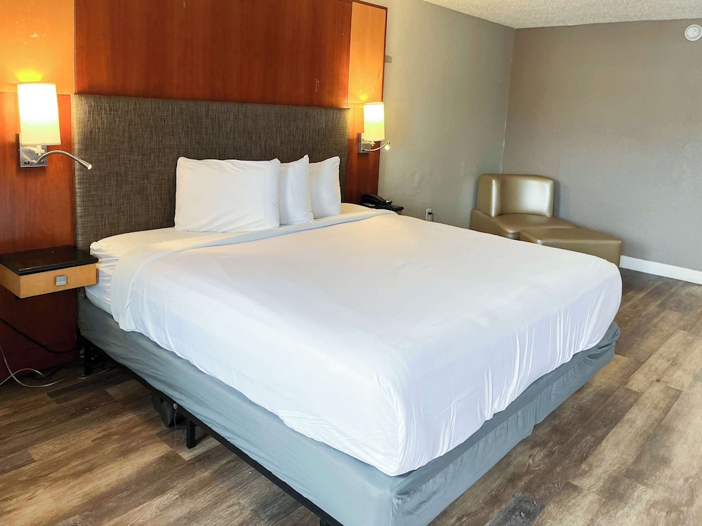Deluxe Room, 1 King Bed, Non Smoking, Refrigerator & Microwave photo 1