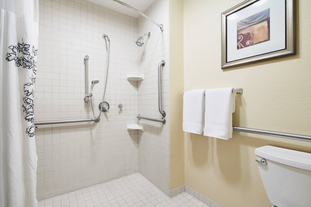 Studio Suite, 1 King Bed with Sofa bed (Mobility/Hearing Access, Roll-In Shwr)