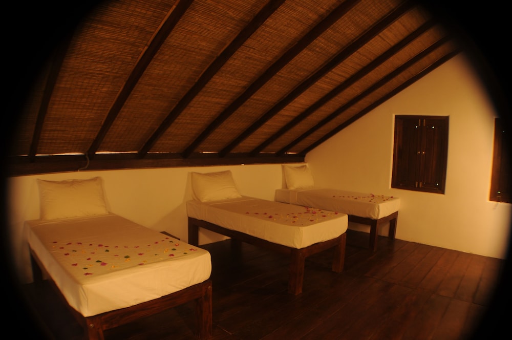Basic Shared Dormitory photo 1