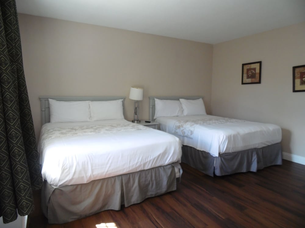 Comfort Double Room photo 3